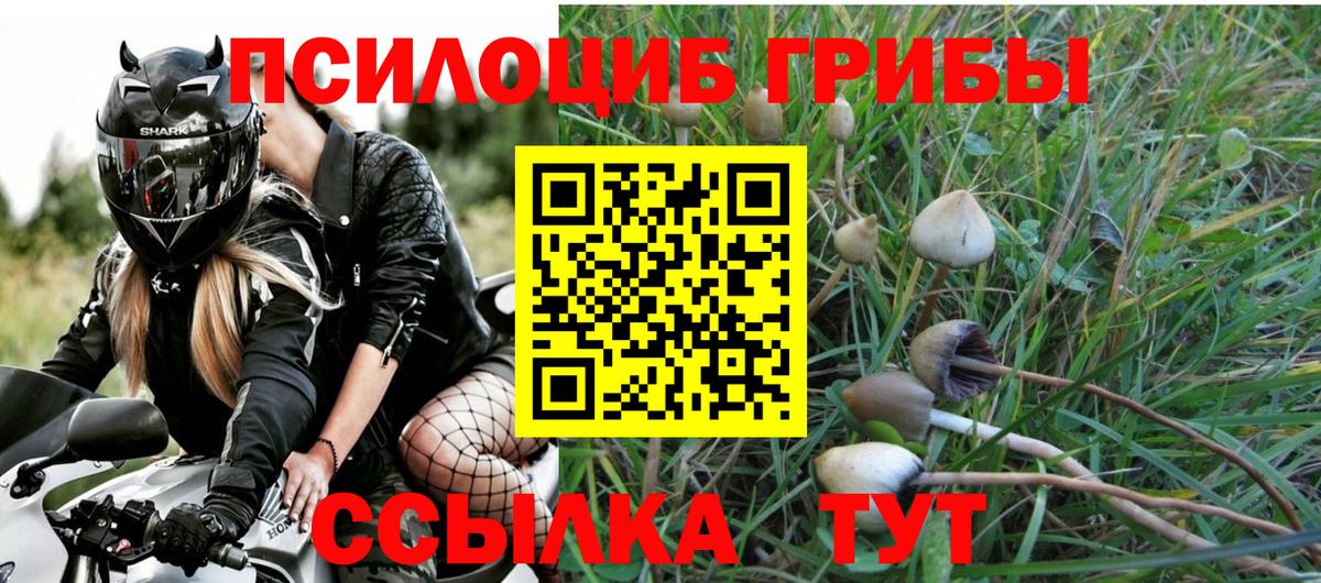 Шебекино  Галлюциногенные грибы мицелий  Вход с VPN 
