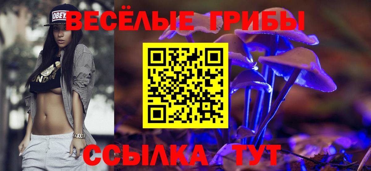 Галлюциногенные грибы ЛСД Шебекино